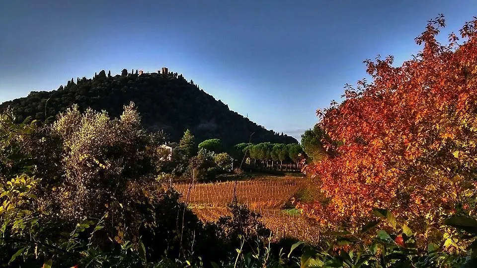 Lantgård Podere L'Olmaia Marsiliana