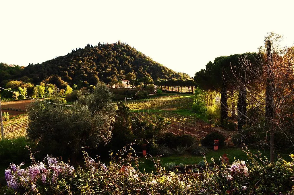 Podere L'Olmaia Марсилиана 0*,